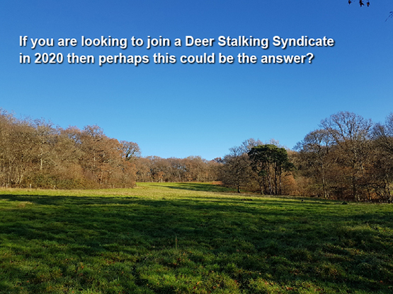 Almanac Image Jan 2020 555px