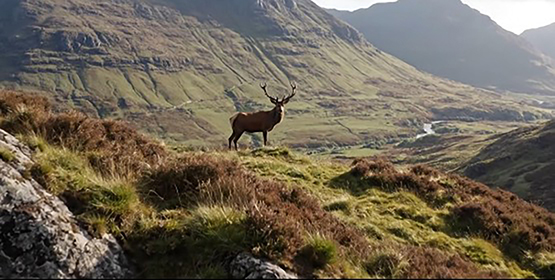 August Almanac 2025 555px