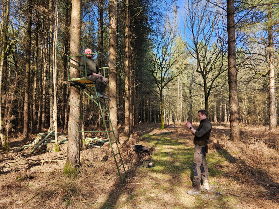 New Deer Stalking Syndicate 2025